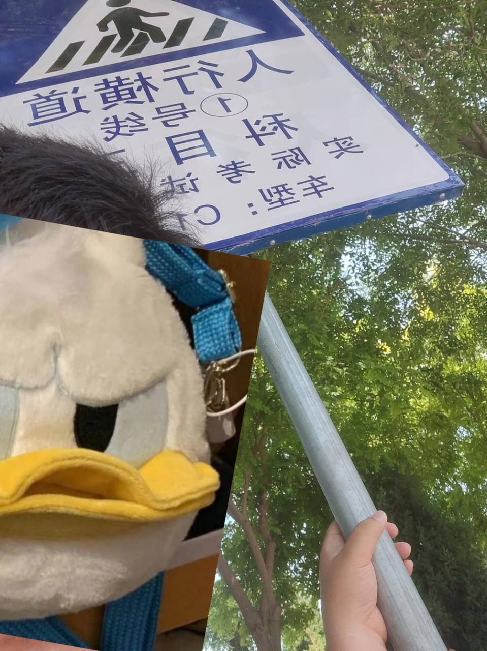 人行横道,减速慢行