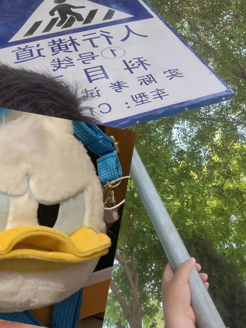 人行横道,减速慢行