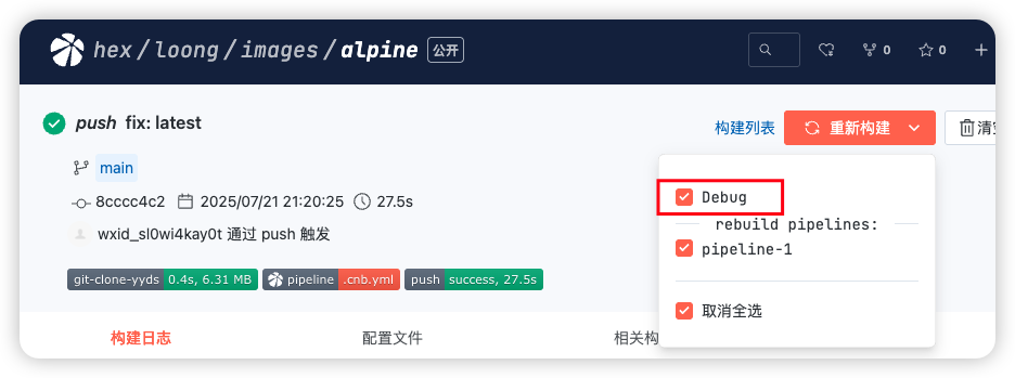 CI Debug