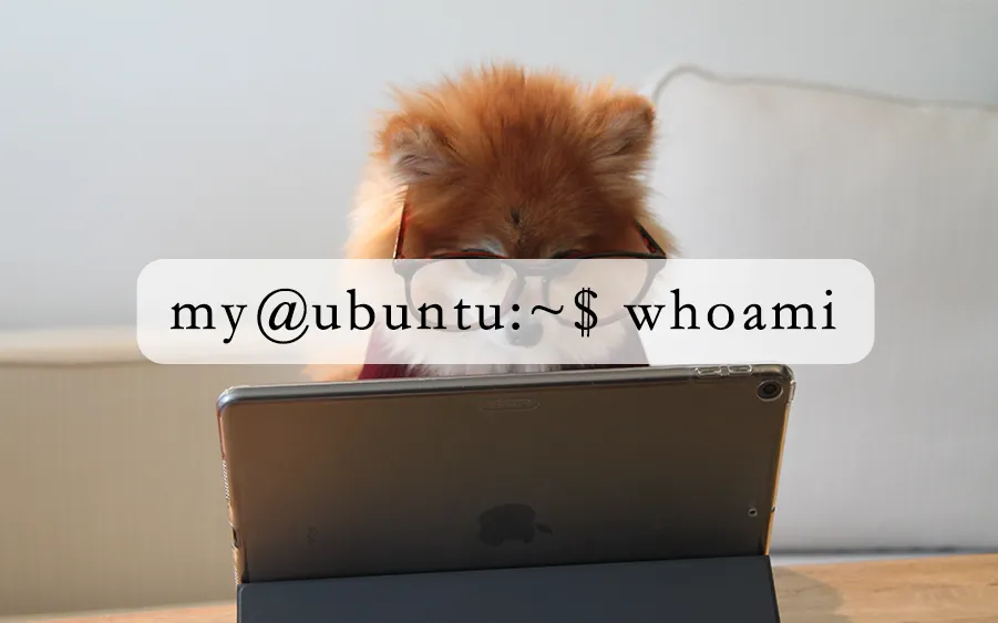 【Ubuntu】解决标准用户不在 sudoers 文件中的问题